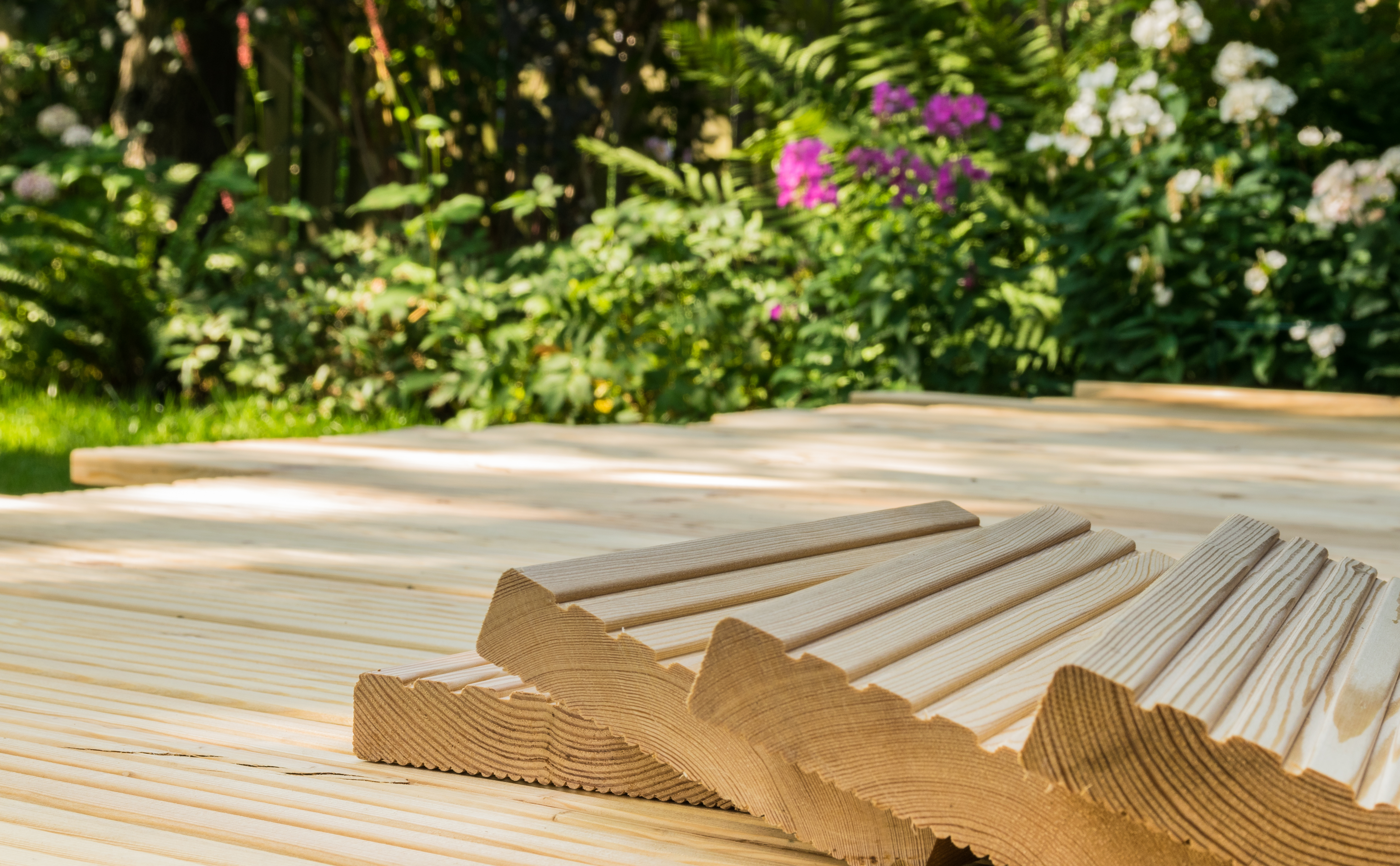 sibirische Lrche Holz Disselnmeyer sibirische Lrche Holz Disselnmeyer