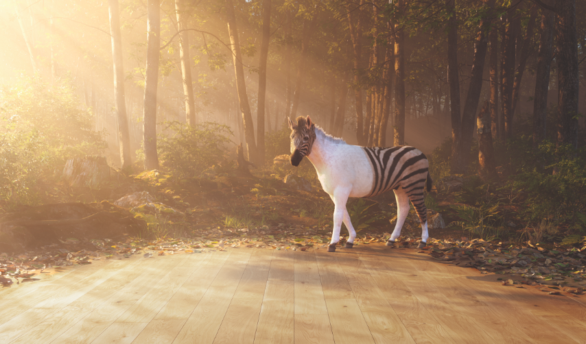 HYWOOD_ter_huerne_holz_disselnmeyer