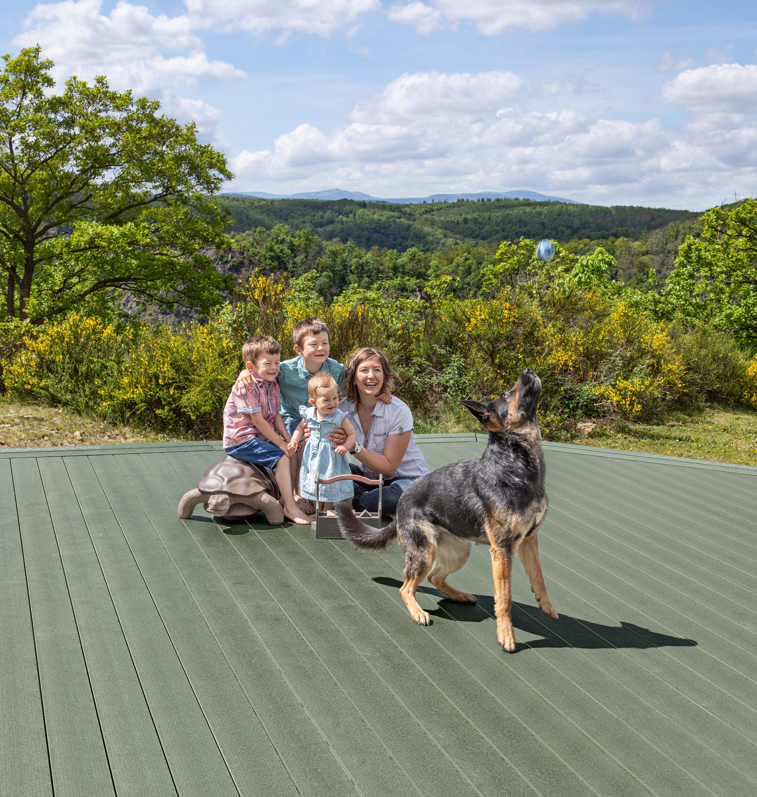 delta_terrassendiele_megawood_holz_disselnmeyer