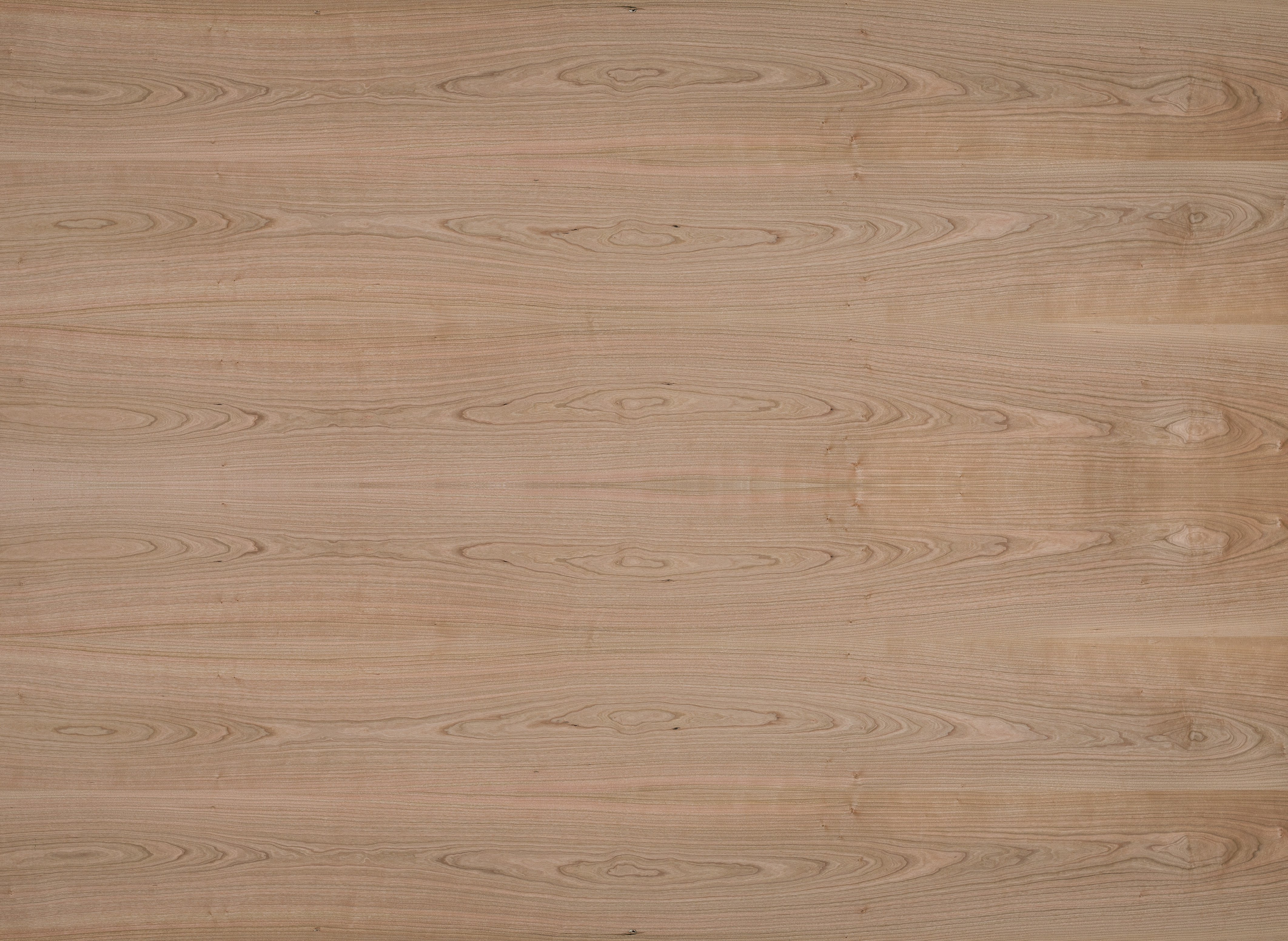 29 mm amerik. Kirschbaum furnierte Spanplatte - E1 P2 CE_0 29 mm amerik. Kirschbaum furnierte Spanplatte - E1 P2 CE_0