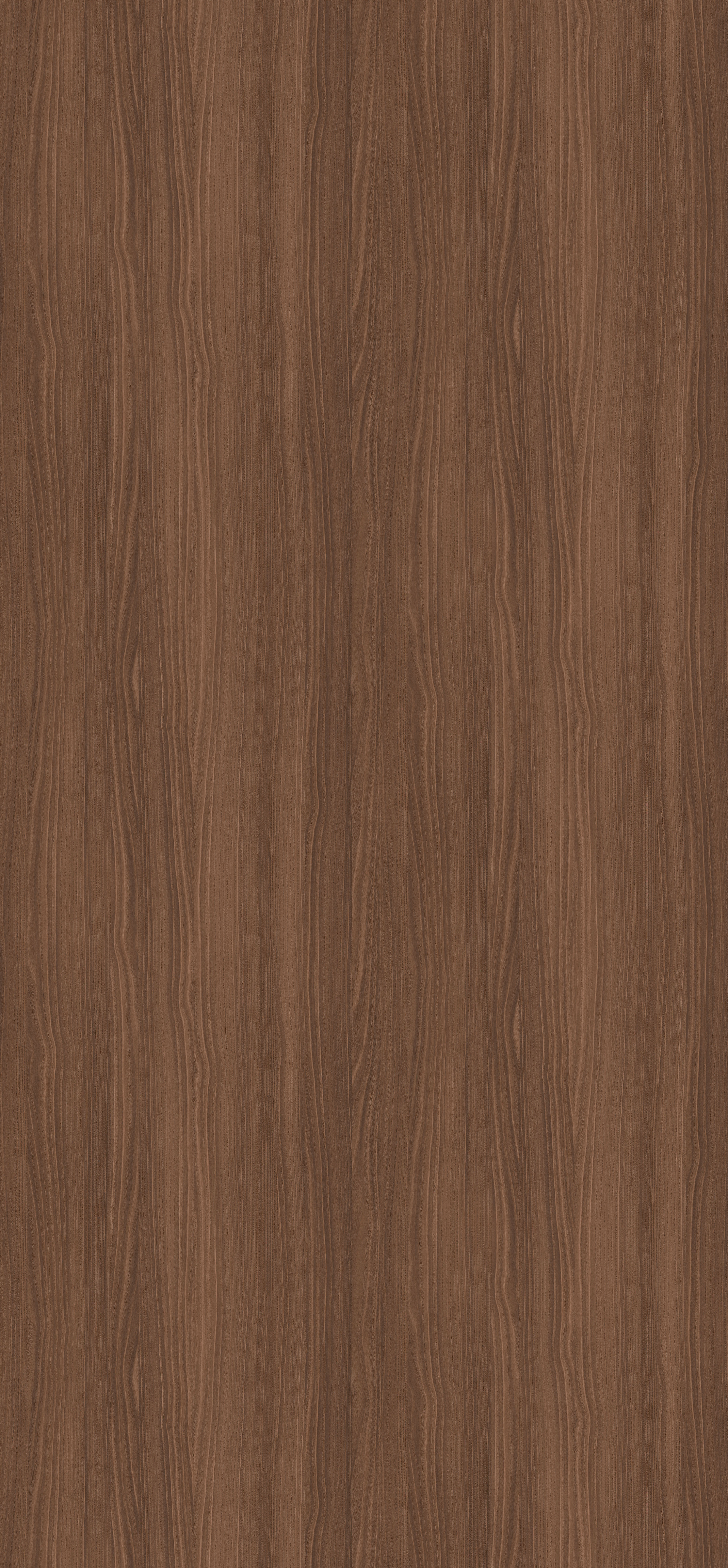 0,8 mm Egger Schichtstoff H3787 ST19_1