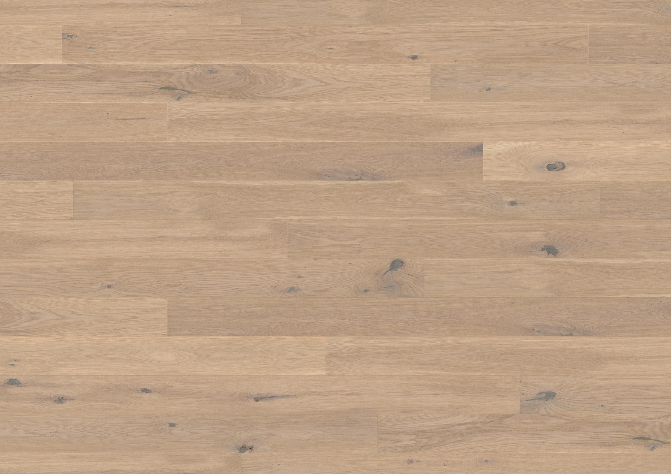 13 mm ter Hürne Parkett - Eiche Cremant_3 13 mm ter Hürne Parkett - Eiche Cremant_3