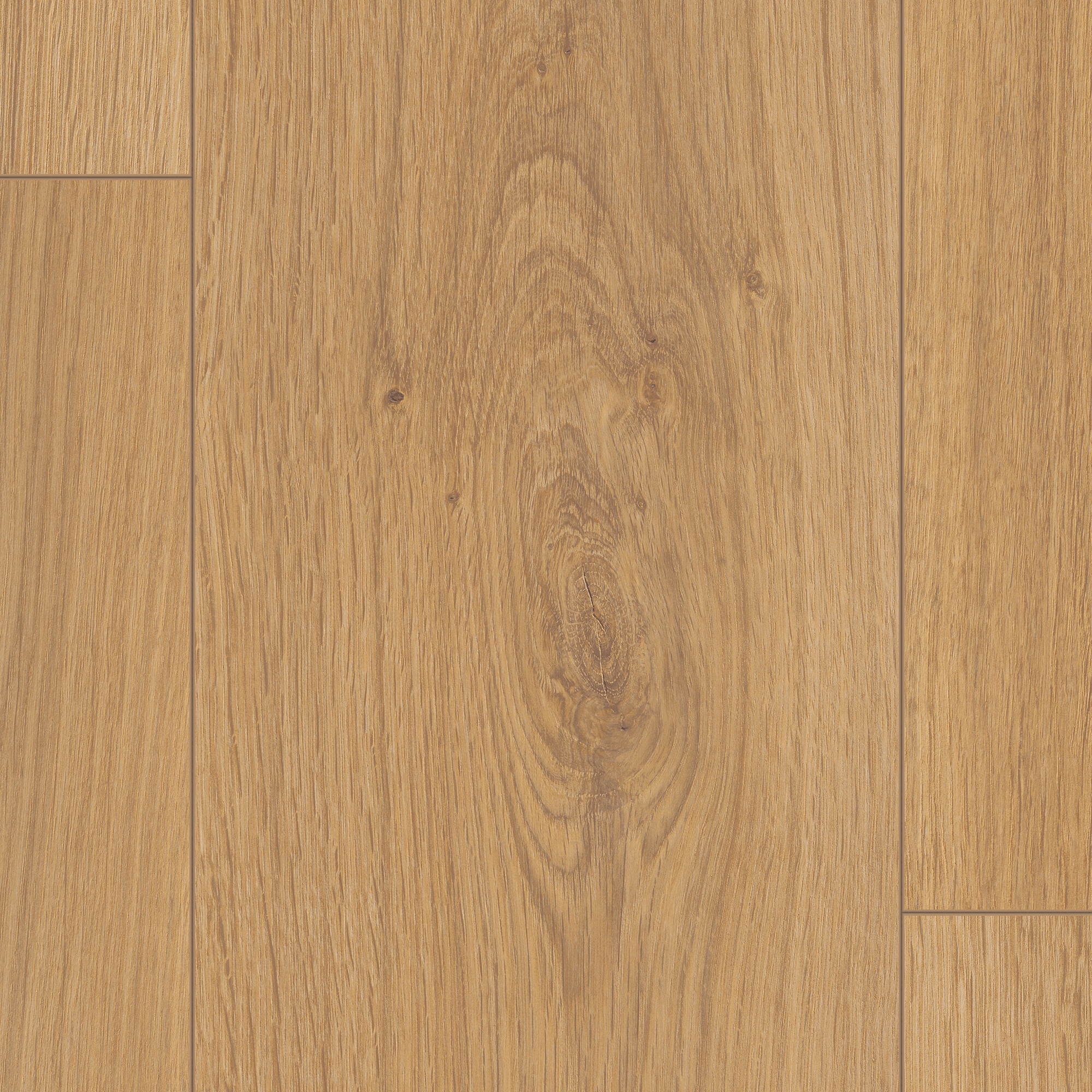 10 mm EGGER - Pinot Eiche honig - EL2114_4 10 mm EGGER - Pinot Eiche honig - EL2114_4