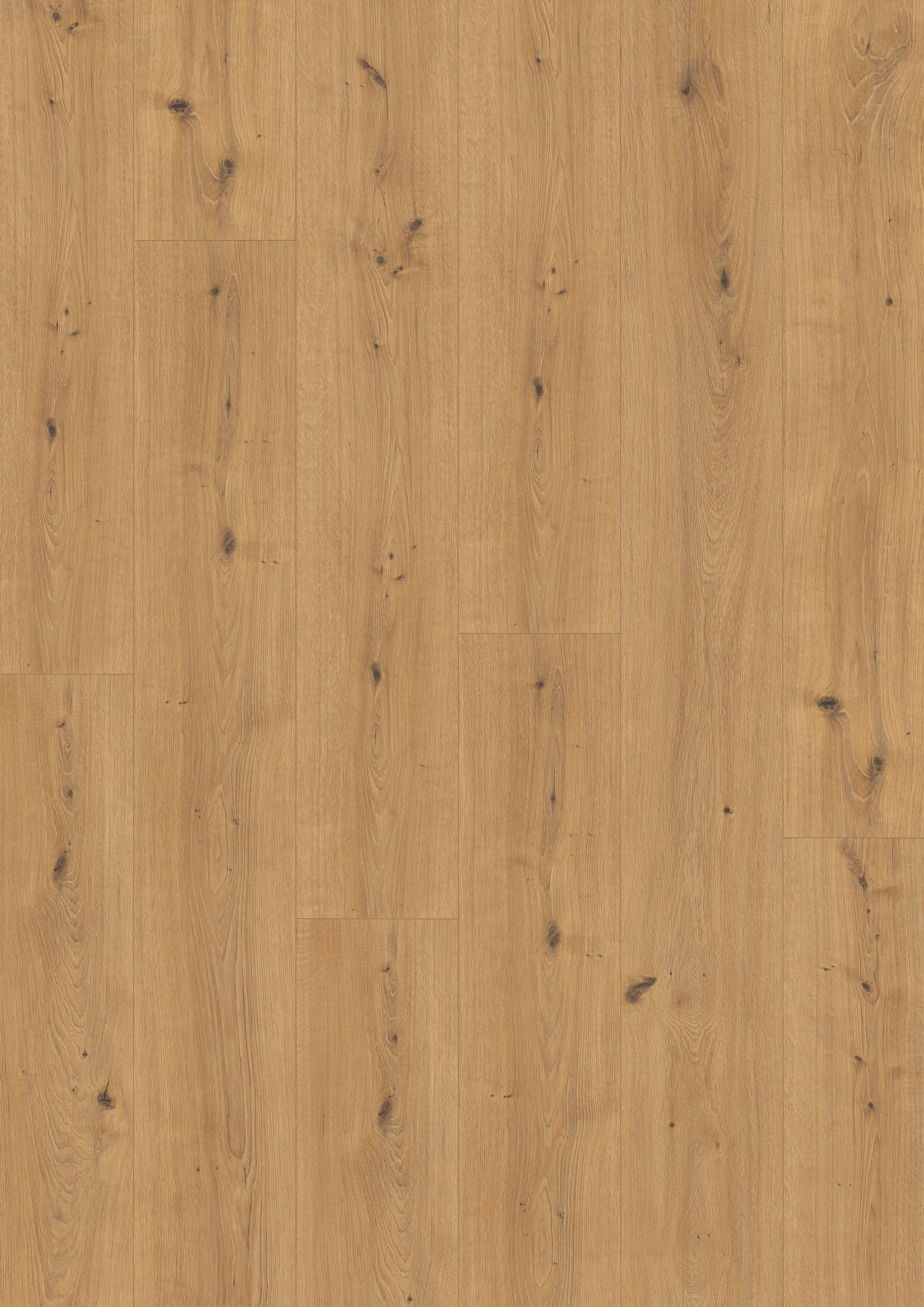 10 mm EGGER - Cadiz Eiche honig - EL2137_3 10 mm EGGER - Cadiz Eiche honig - EL2137_3