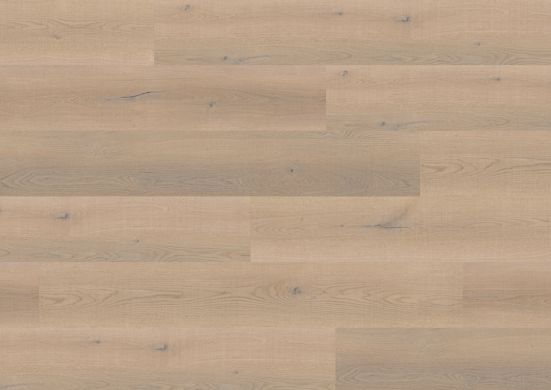 2,5 mm ter Hürne Soya Design-Vinylboden - Eiche Antwerpen_1