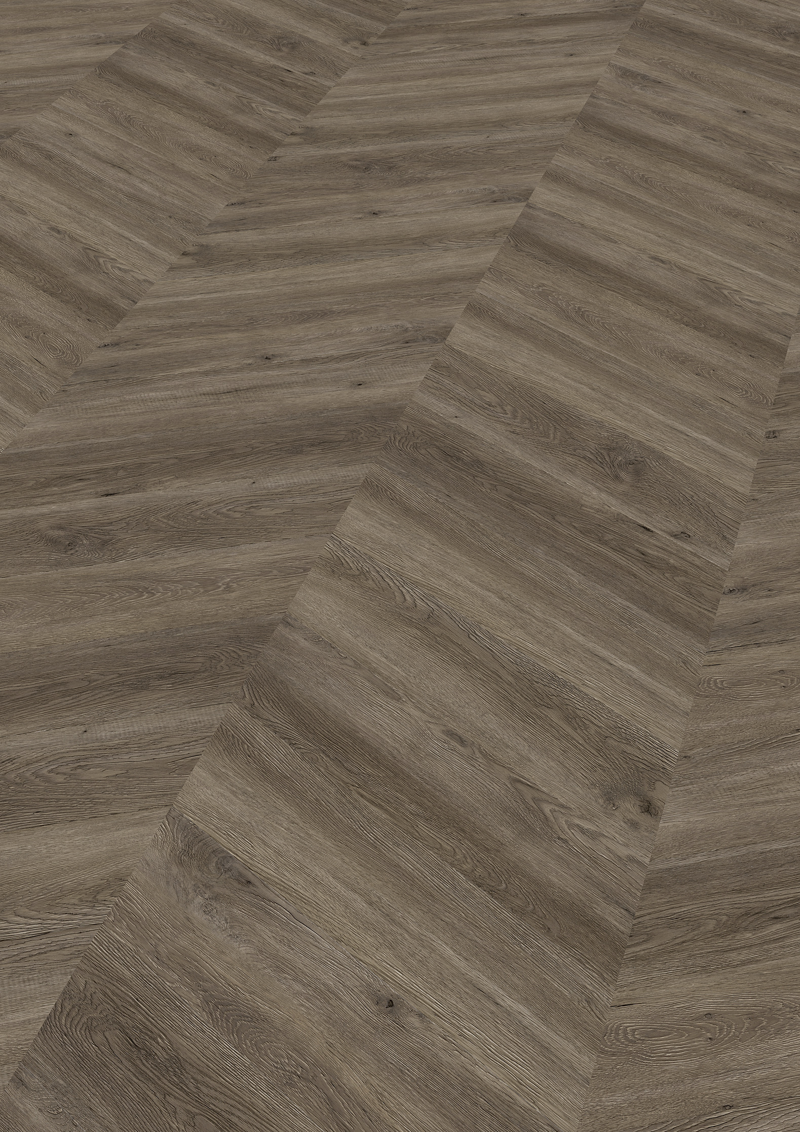 2,5 mm ter Hürne Soya Design-Vinylboden - Eiche Canberra_0