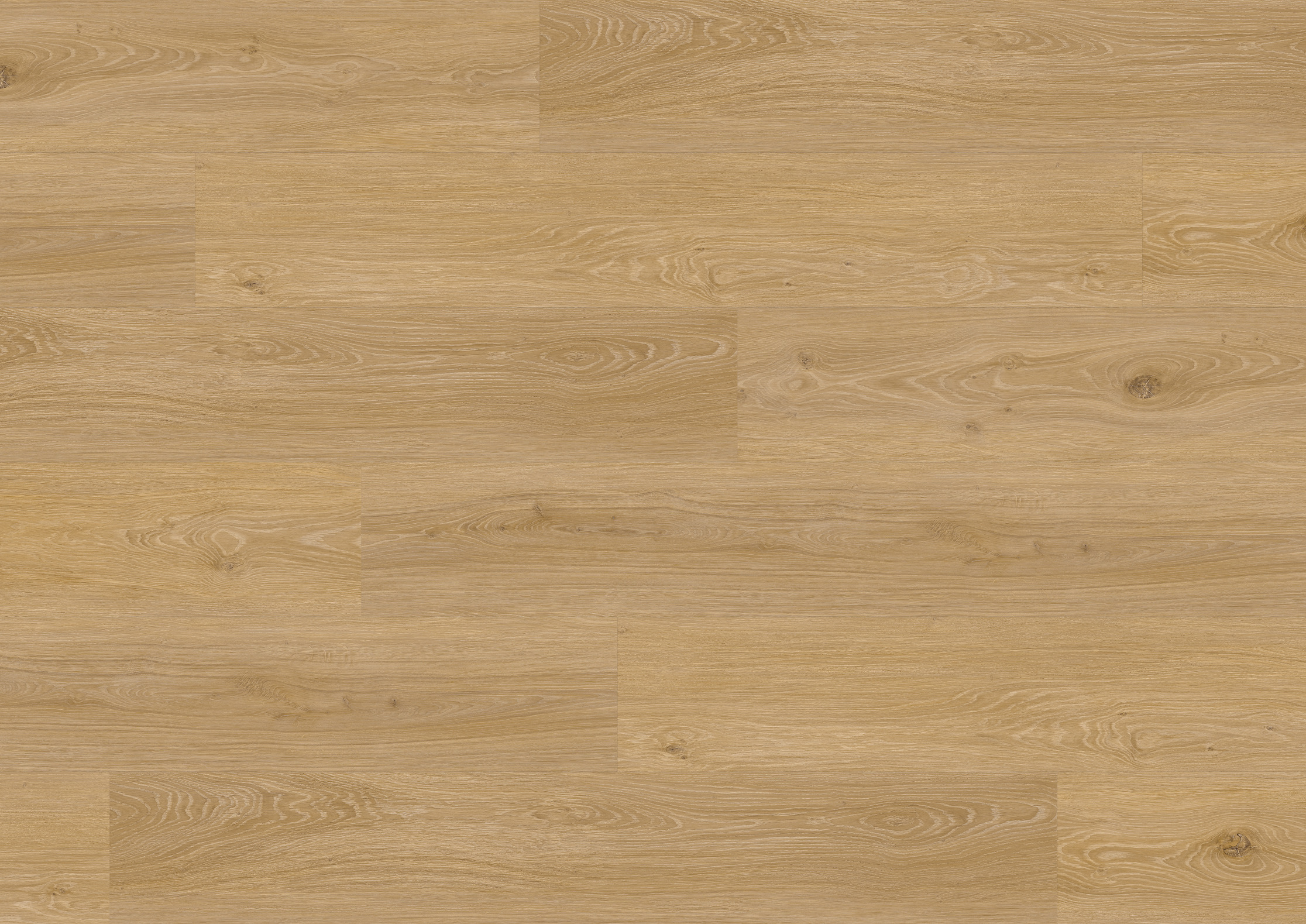 2,5 mm ter Hürne Soya Design-Vinylboden - Eiche Den Haag_1