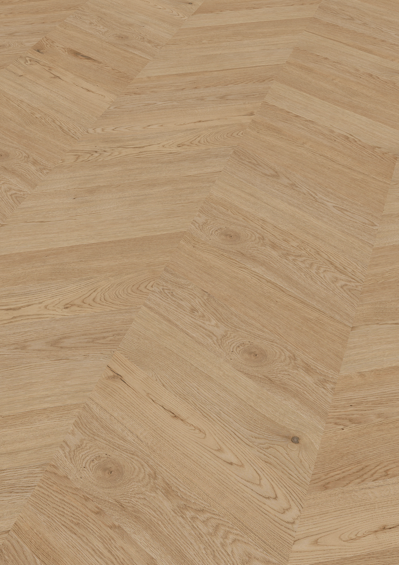 2,5 mm ter Hürne Soya Design-Vinylboden - Eiche Dublin_0
