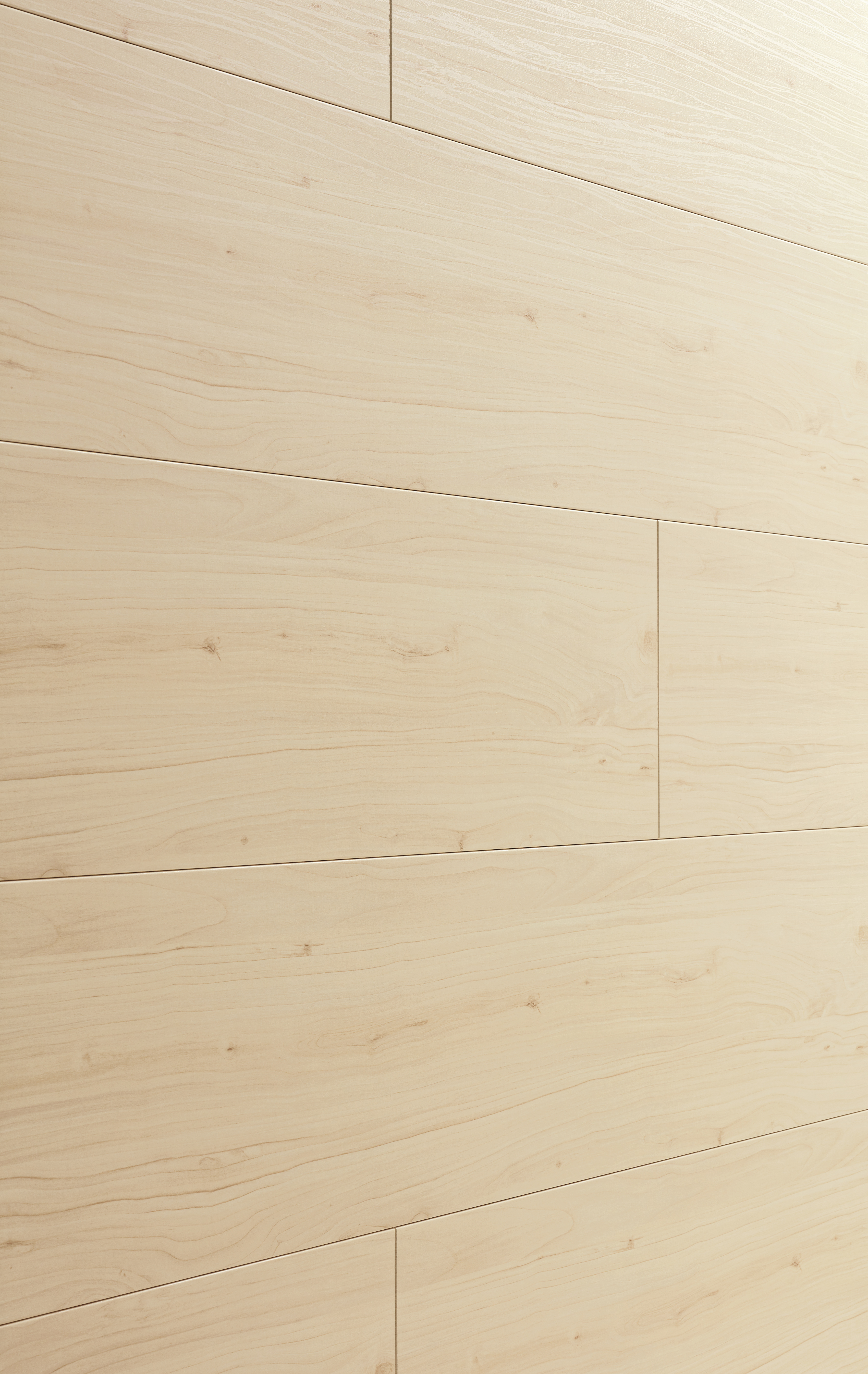 12 x 250 mm MeisterPaneele. bocado DP 250 - Ahorn hell 04003_1 12 x 250 mm MeisterPaneele. bocado DP 250 - Ahorn hell 04003_1