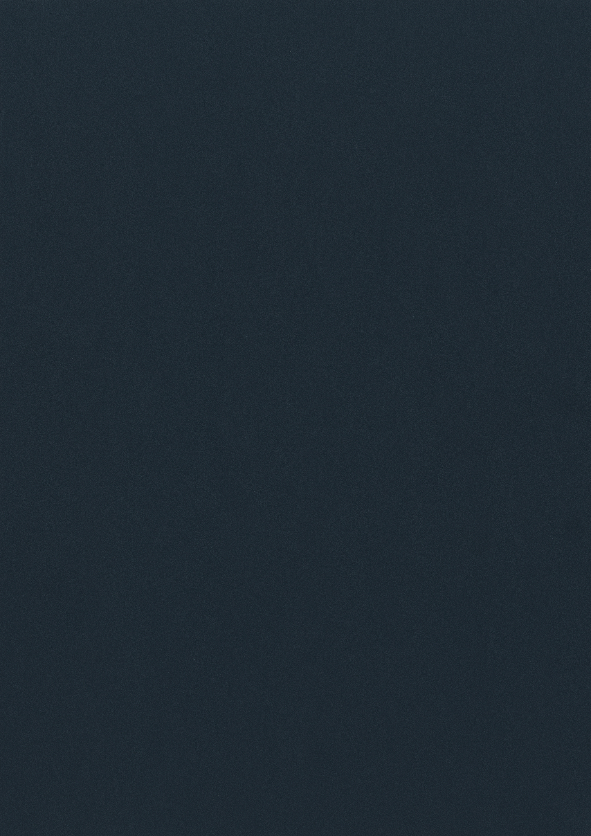 1/23 mm Egger ABS-Kante U968 TM9 - Karbongrau_1