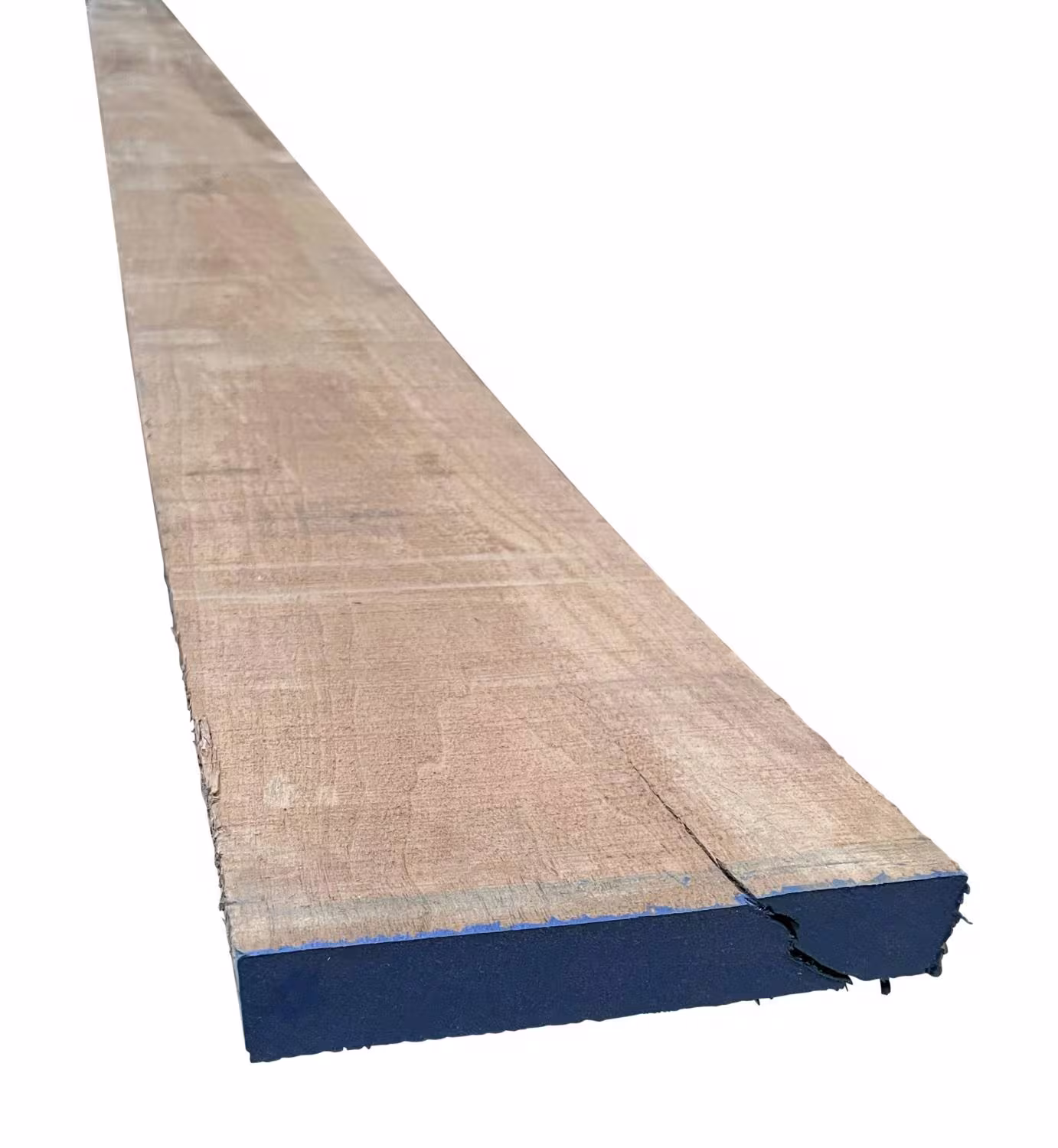 26 mm Nussbaum, amerik. KD_26-mm-nussbaum-amerik-kd-26x0mm-nussbaum-kd---kammertrocknung-unbesaeumt-01