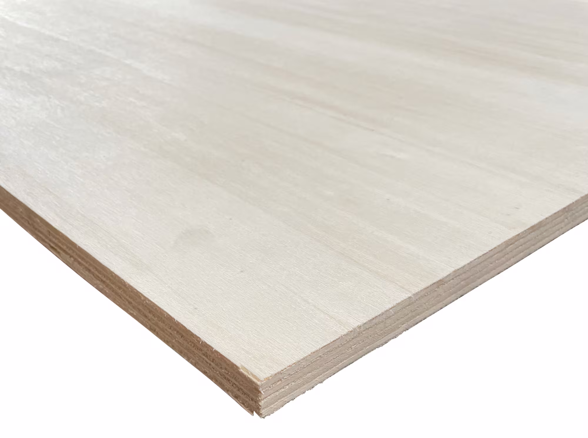 10-mm-pappel-sperrholzplatten-bbb---en-636-1-en-314-1-en-314-1-klasse-1---fuer-trockenbereiche-pappel-bbb-laengs-01 10 mm Pappel Sperrholzplatten B/BB - EN 636-1, EN 314-1_10-mm-pappel-sperrholzplatten-bbb---en-636-1-en-314-1-en-314-1-klasse-1---fuer-trockenbereiche-pappel-bbb-laengs-01