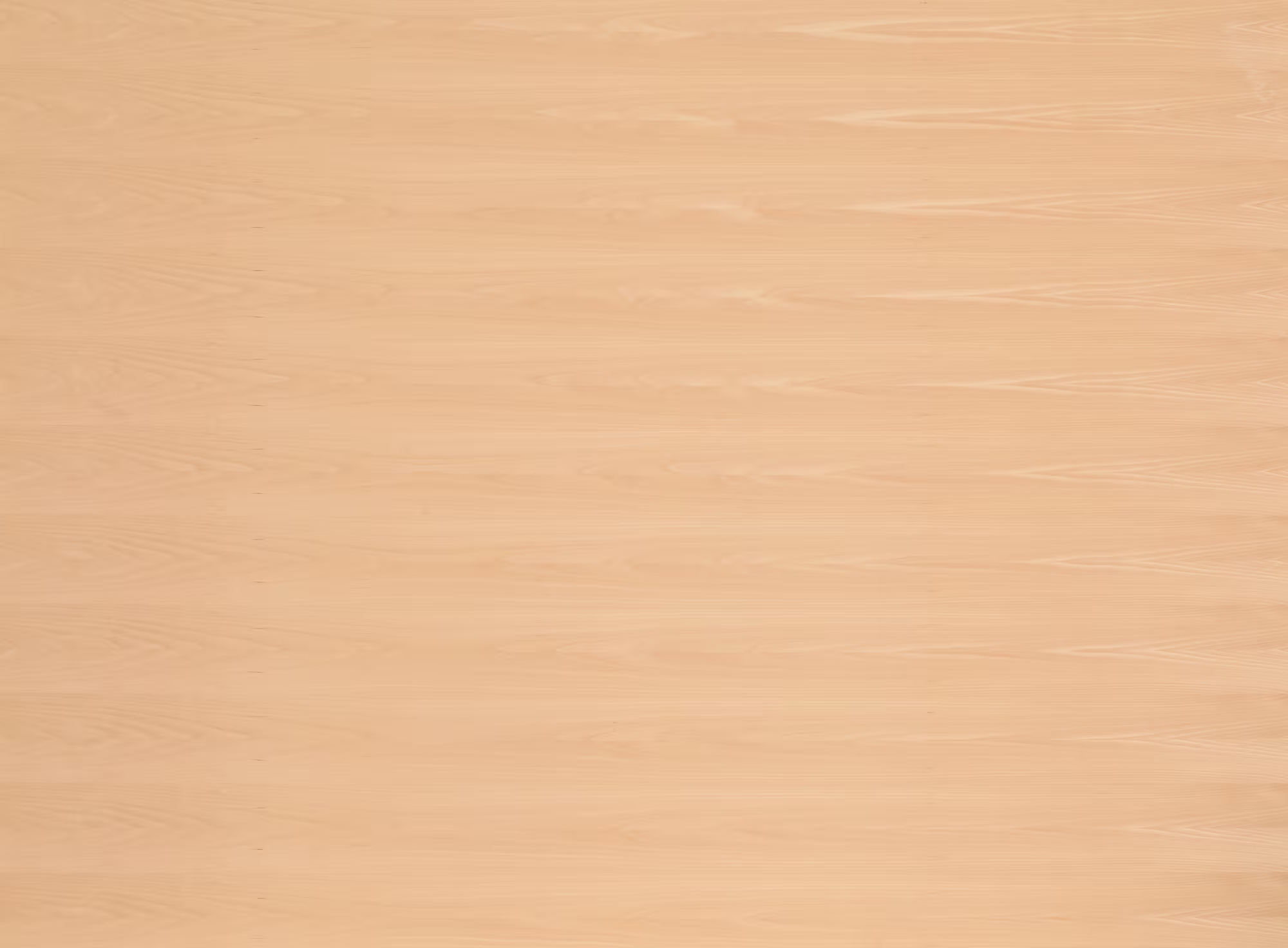 europlac-19-mm-buche-furnierte-spanplatte---e1-p2-ce-schlicht-19x2070x2800mm-laengs-01 19 mm Buche furnierte Spanplatte - E1 P2 CE (schlicht)_europlac-19-mm-buche-furnierte-spanplatte---e1-p2-ce-schlicht-19x2070x2800mm-laengs-01