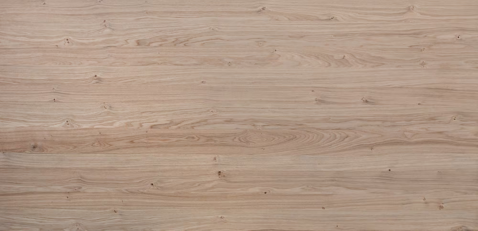 19 mm Asteiche furnierte Spanplatte - E1 P2 CE A/B (Brettcharakter), ungespachtelt_europlac-19-mm-asteiche-furnierte-spanplatte---e1-p2-ce-ab-brettcharakter-ungespachtelt-19x2070x2800mm-laengs-01