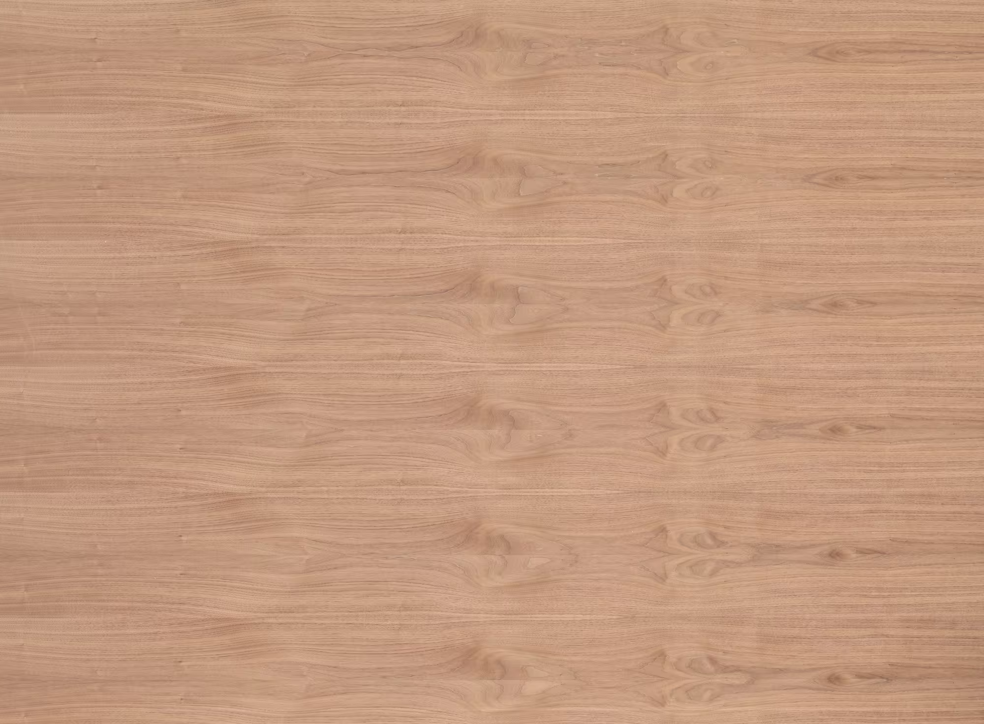 16 mm amerik. Nussbaum furnierte Spanplatte - E1 P2 CE_europlac-16-mm-amerik-nussbaum-furnierte-spanplatte---e1-p2-ce-16x2070x2800mm-laengs-01