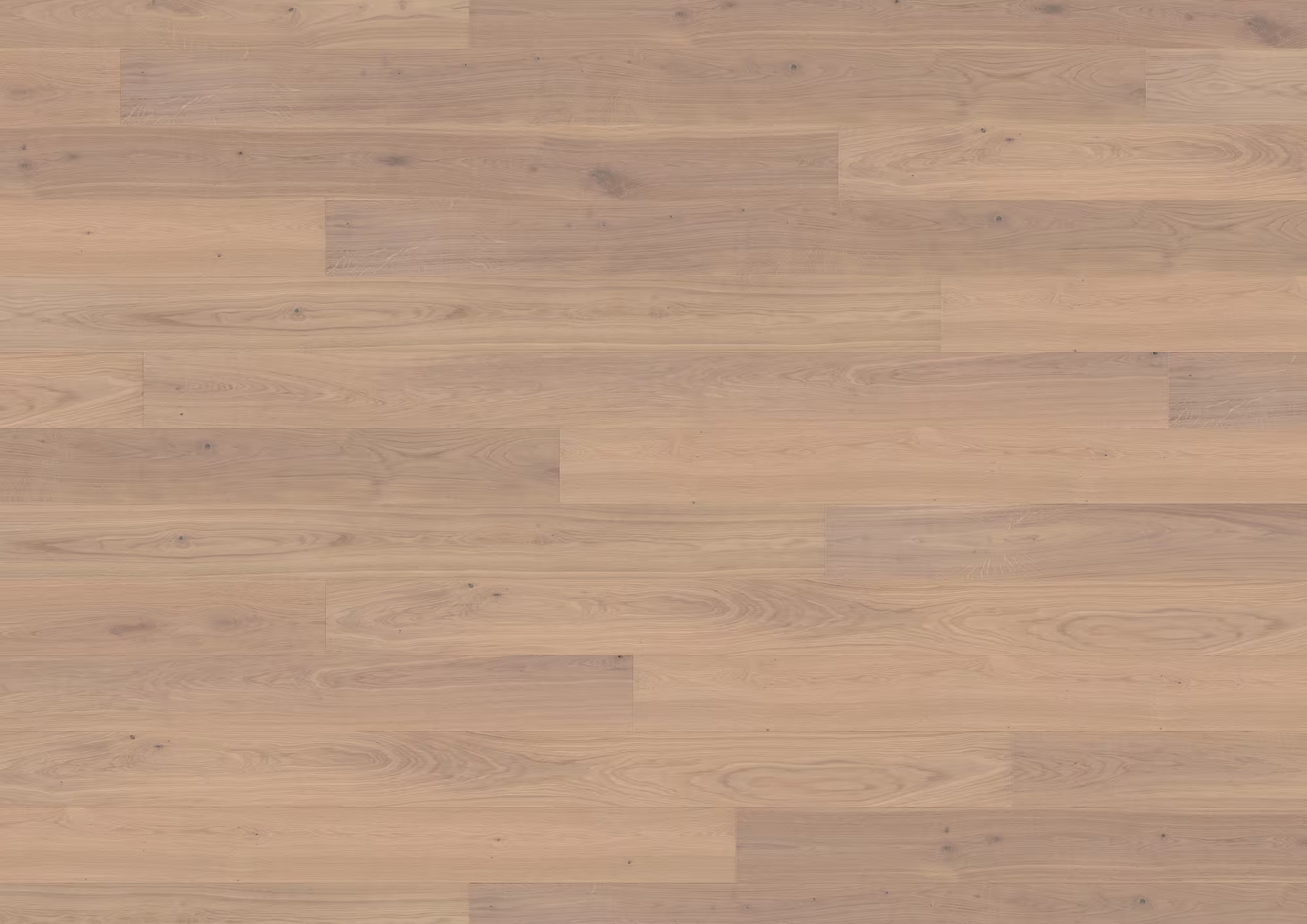 ter-huerne-13-mm-ter-huerne-parkett---eiche-asti-13x162x2190mm-eiche-naturgeoelt-blauer-engel-30-jahre-im-wohnbereich-nein-landhausdiele-02 13 mm ter Hürne Parkett - Eiche Asti_ter-huerne-13-mm-ter-huerne-parkett---eiche-asti-13x162x2190mm-eiche-naturgeoelt-blauer-engel-30-jahre-im-wohnbereich-nein-landhausdiele-02