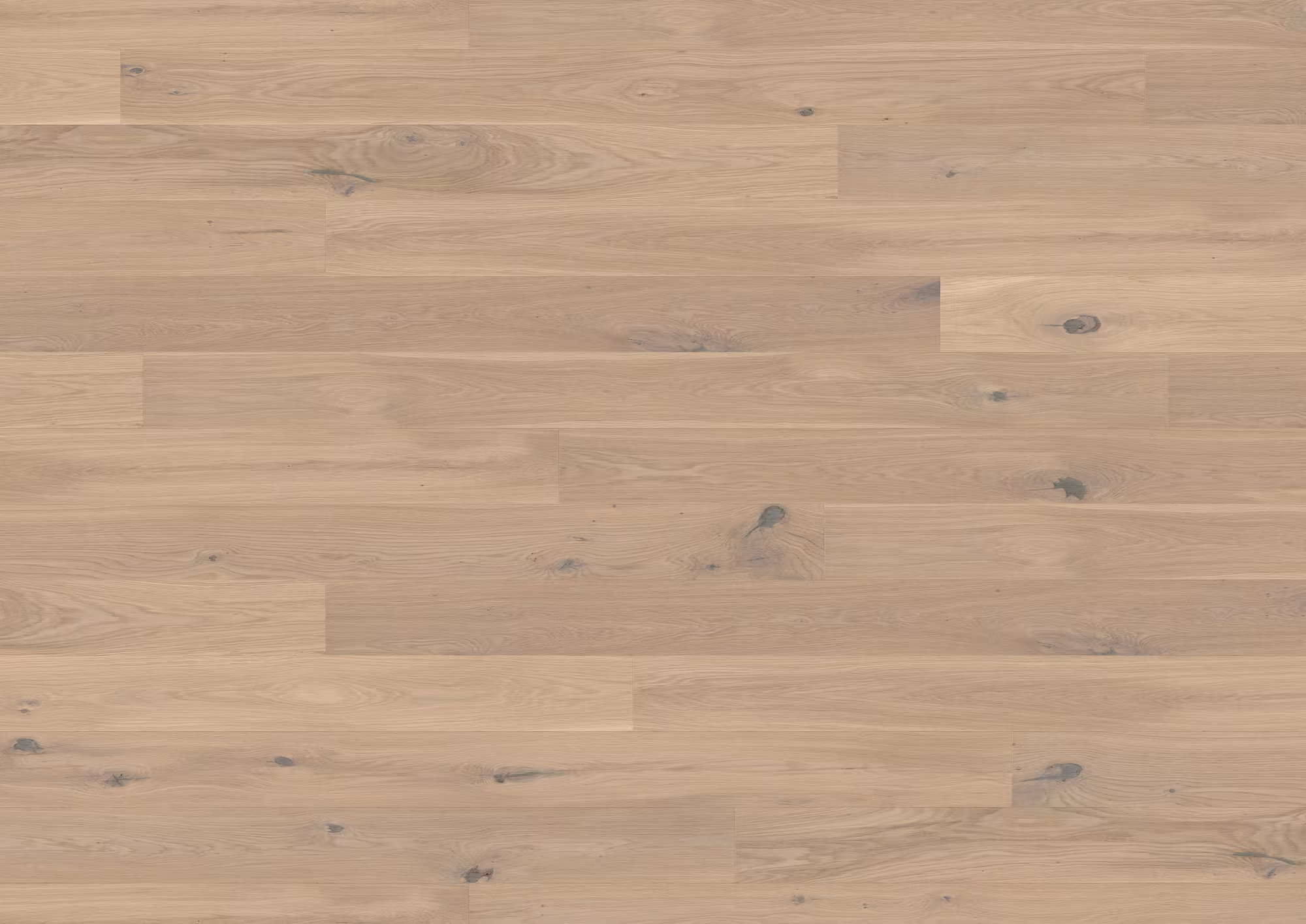 ter-huerne-13-mm-ter-huerne-parkett---eiche-cremant-13x162x2190mm-eiche-naturgeoelt-blauer-engel-30-jahre-im-wohnbereich-nein-landhausdiele-02 13 mm ter Hürne Parkett - Eiche Cremant_ter-huerne-13-mm-ter-huerne-parkett---eiche-cremant-13x162x2190mm-eiche-naturgeoelt-blauer-engel-30-jahre-im-wohnbereich-nein-landhausdiele-02