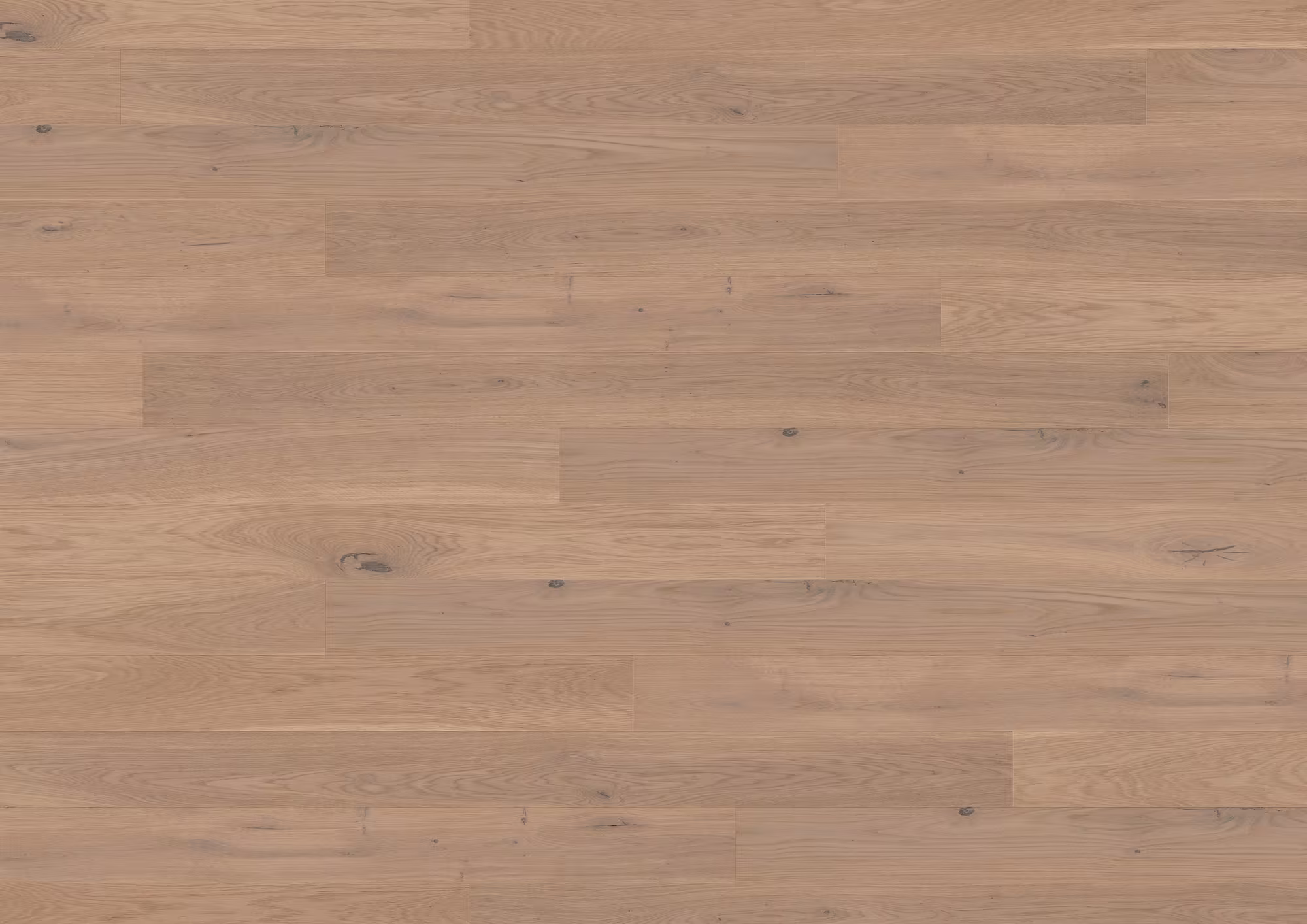 ter-huerne-13-mm-ter-huerne-parkett---eiche-beaujolais-13x162x2190mm-eiche-naturgeoelt-blauer-engel-30-jahre-im-wohnbereich-nein-landhausdiele-02 13 mm ter Hürne Parkett - Eiche Beaujolais_ter-huerne-13-mm-ter-huerne-parkett---eiche-beaujolais-13x162x2190mm-eiche-naturgeoelt-blauer-engel-30-jahre-im-wohnbereich-nein-landhausdiele-02