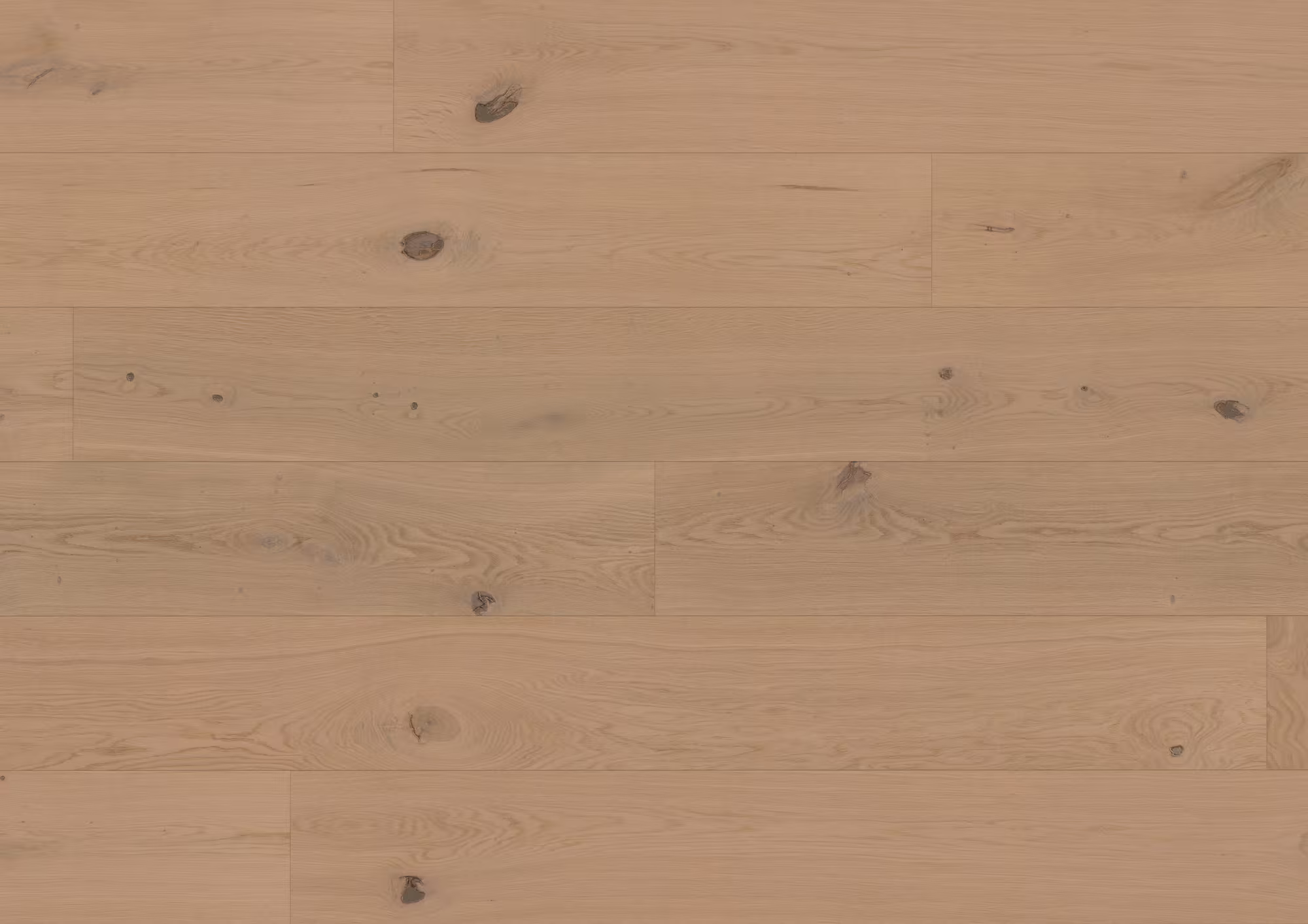 11 mm ter Hürne Hywood EVO - Eiche Nieuw Land