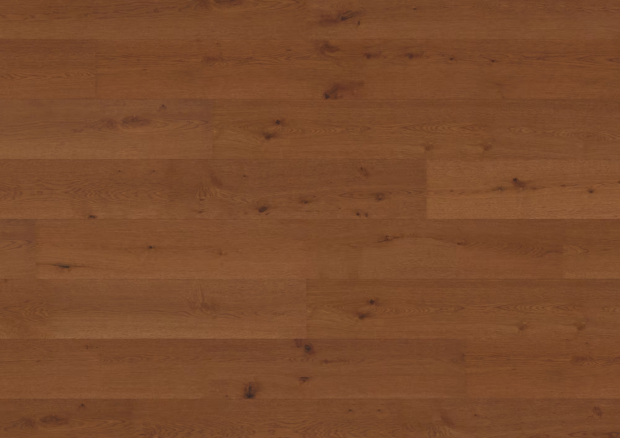 ter-huerne-11-mm-ter-huerne-hywood-evo---eiche-joshua-tree-11x270x2375mm-umlaufende-microfase-ultramattlackiert-schiffsboden-nein-r10-lifetime-im-wohnbereich-ja-02 11 mm ter Hürne Hywood EVO - Eiche Joshua Tree