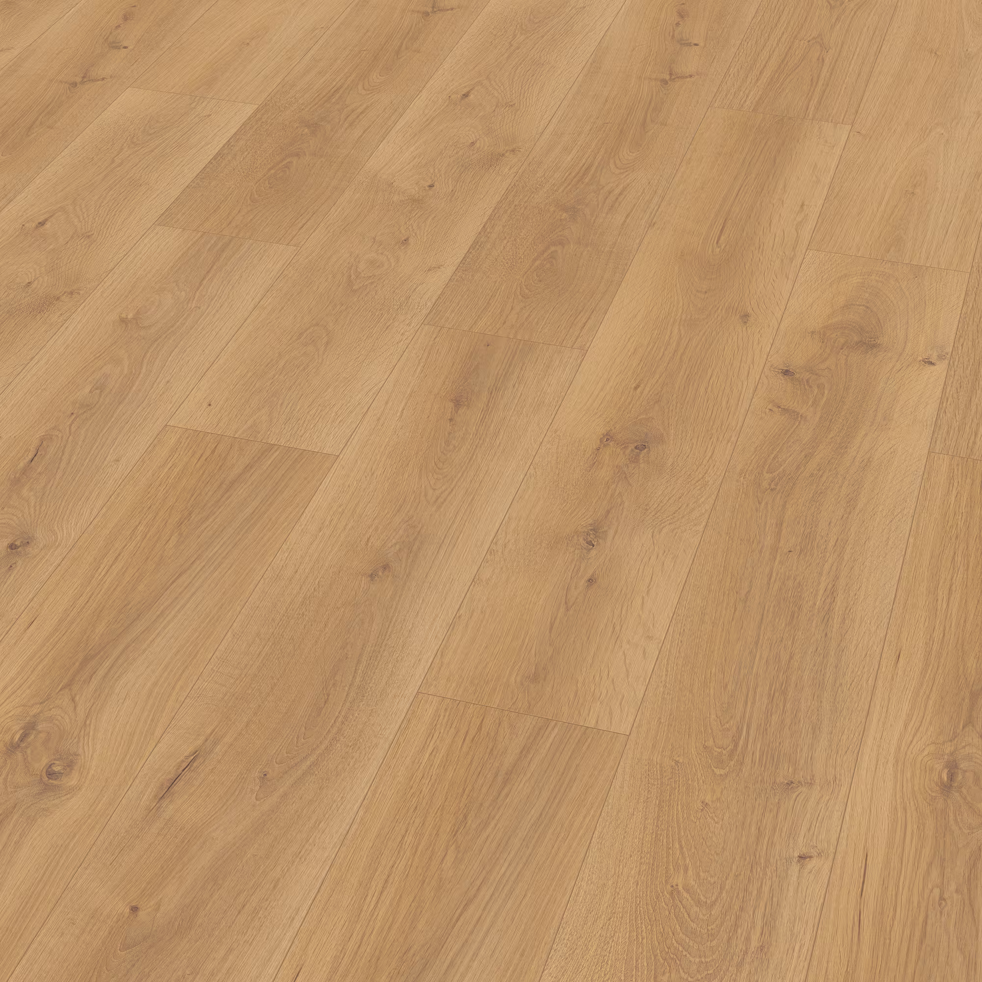 10 mm EGGER - Pinot Eiche honig - EL2114