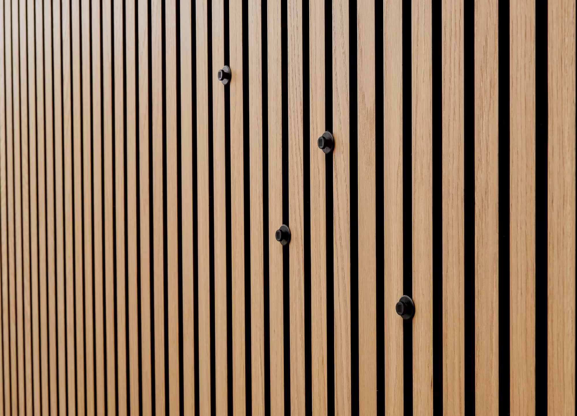 ter-huerne-ter-huerne-silentdesign-livingwall---dolf-200x500x1000mm-01 ter Hürne SilentDesign LivingWall - Dolf