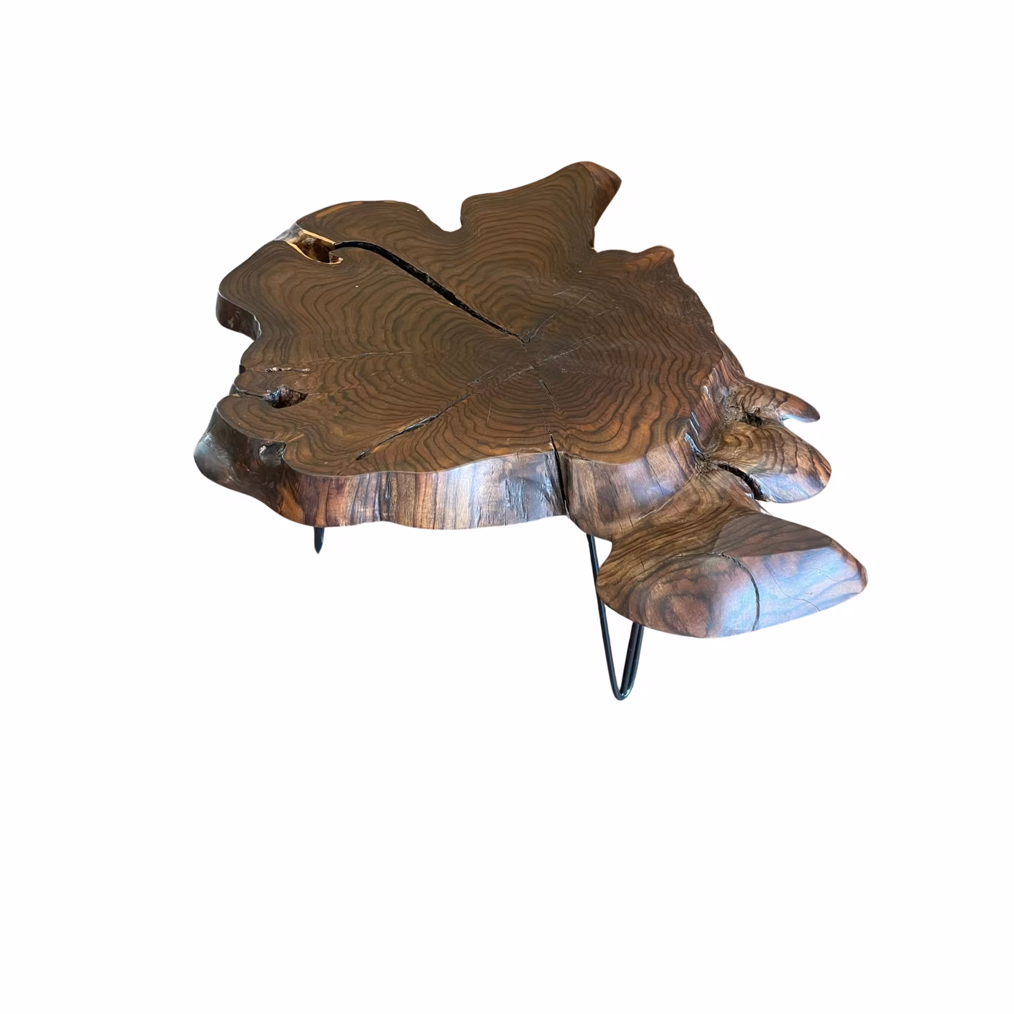 rosewood-cookie-0x0mm-01 Rosewood Cookie_rosewood-cookie-0x0mm-01